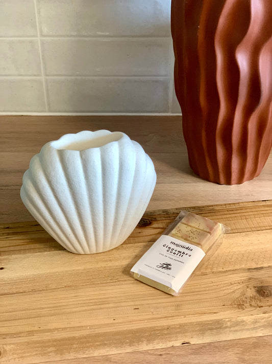 Fondant Parfumé Gingembre Confit – Une Senteur Épicée et Gourmande